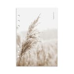 Beige Reeds Dashboard A5