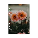 Flower Orange Dashboard A5