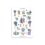 Lavender 2
